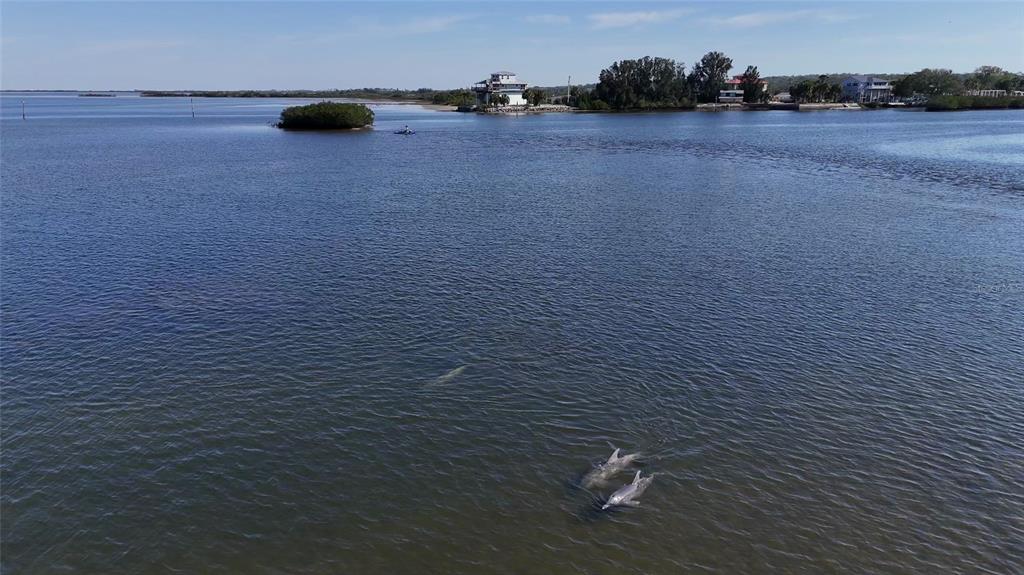 2417 Sunset Vista Drive Spring Hill, FL 34607 - Photo 49 of 61 a view of a lake