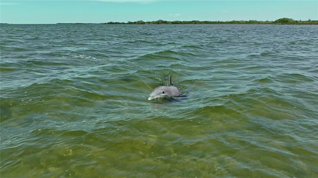 2417 Sunset Vista Drive Spring Hill, FL 34607 - Photo 5 of 61 a bathroom with a sink