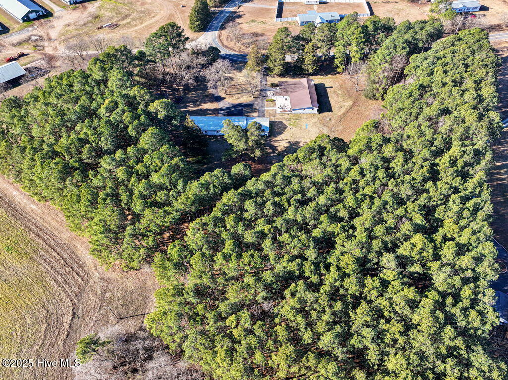 447 T Johnson Road Carthage, NC 28327 - Photo 56 of 60 5-web-or-mls-447 T Johnson Rd-DRONE-LR-J