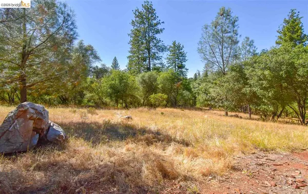 a view of a yard covered in snow