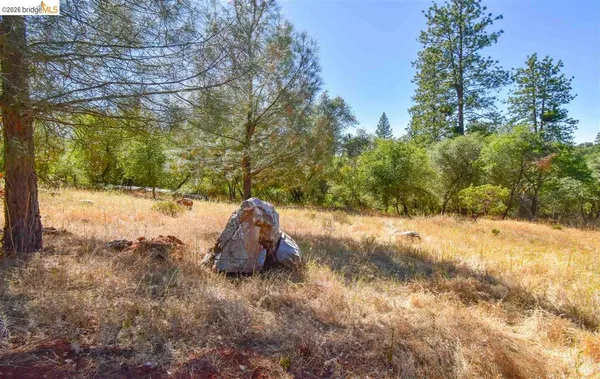 a view of a yard with a tree