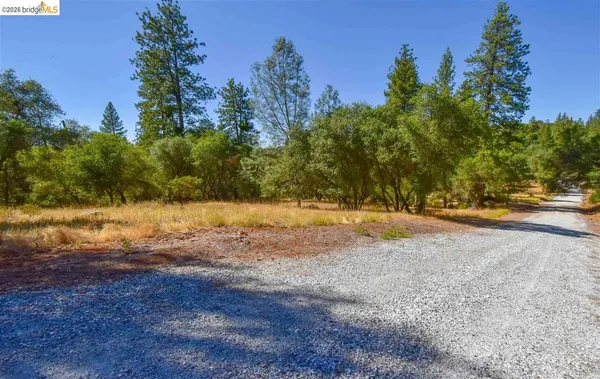a view of dirt yard with a tree