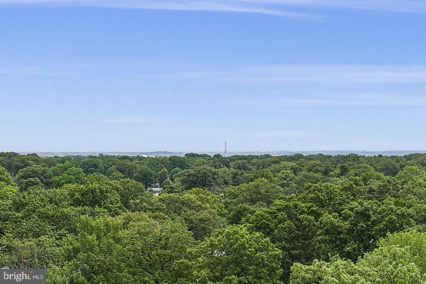 4141 North Henderson Road, Unit 1023 Arlington, VA 22203 - Photo 5 of 19