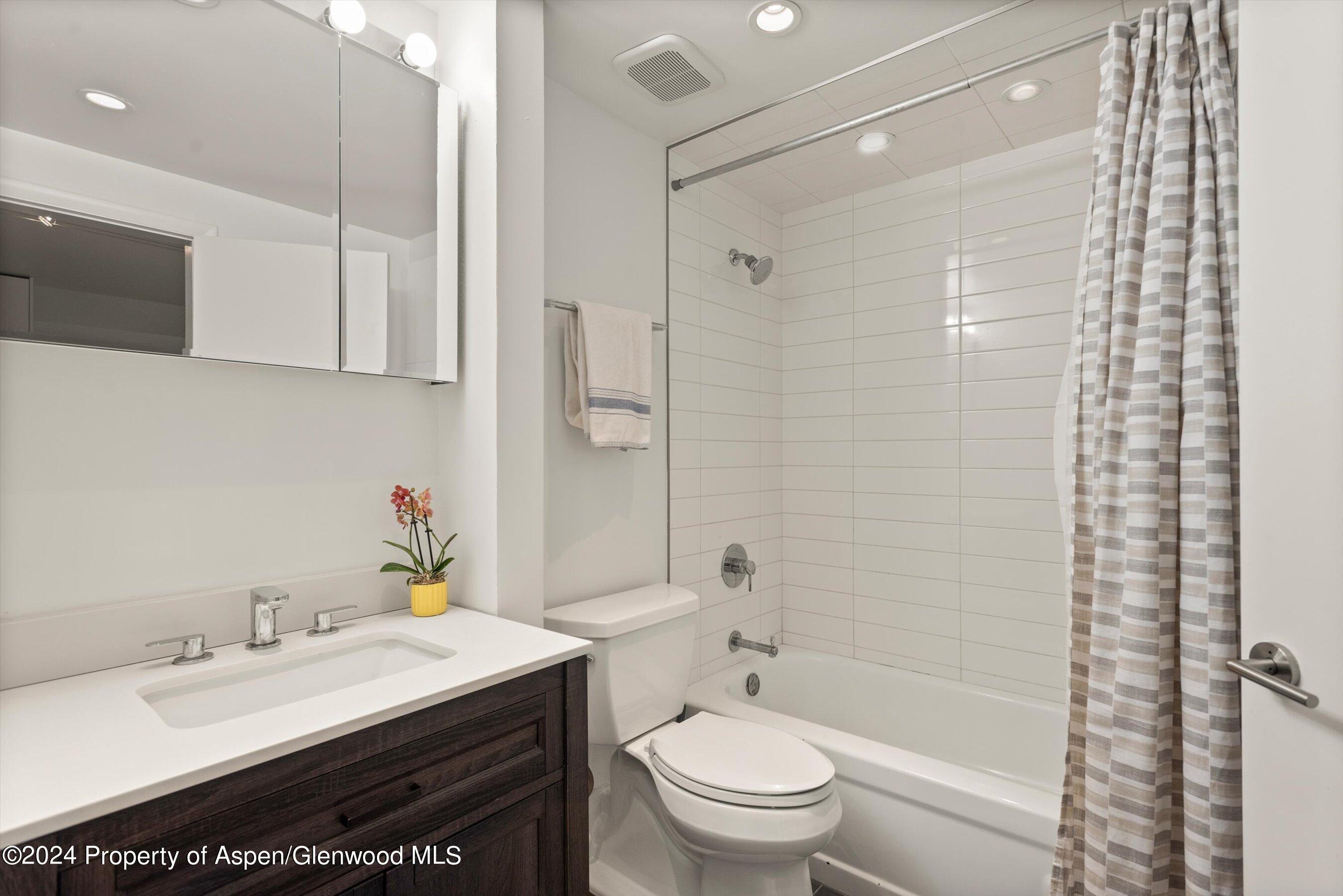 1326 Vine Street, Unit 1326 Aspen, CO 81611 - Photo 12 of 16 a bathroom with a sink toilet vanity and shower