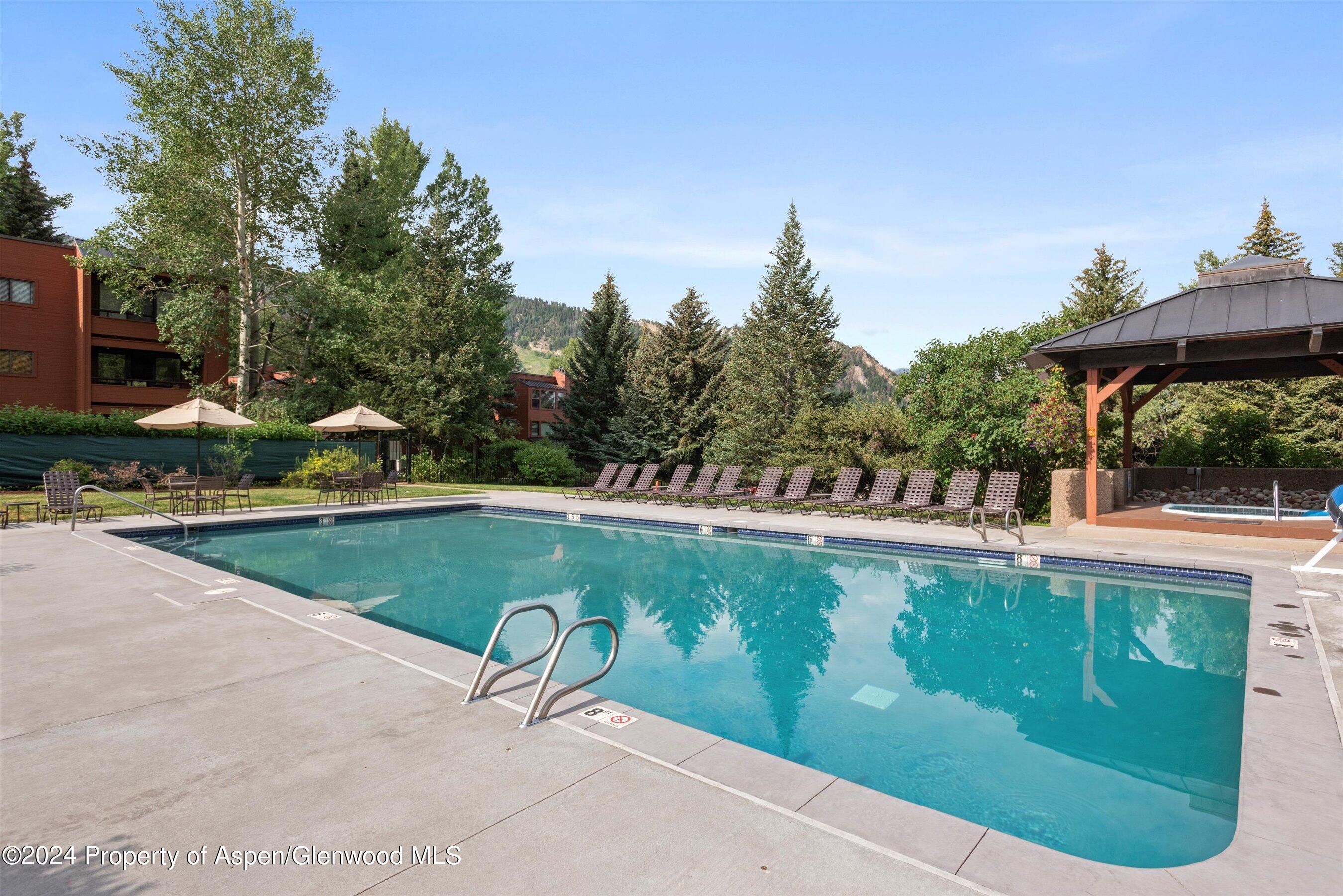 1326 Vine Street, Unit 1326 Aspen, CO 81611 - Photo 14 of 16 a view of a swimming pool with a patio