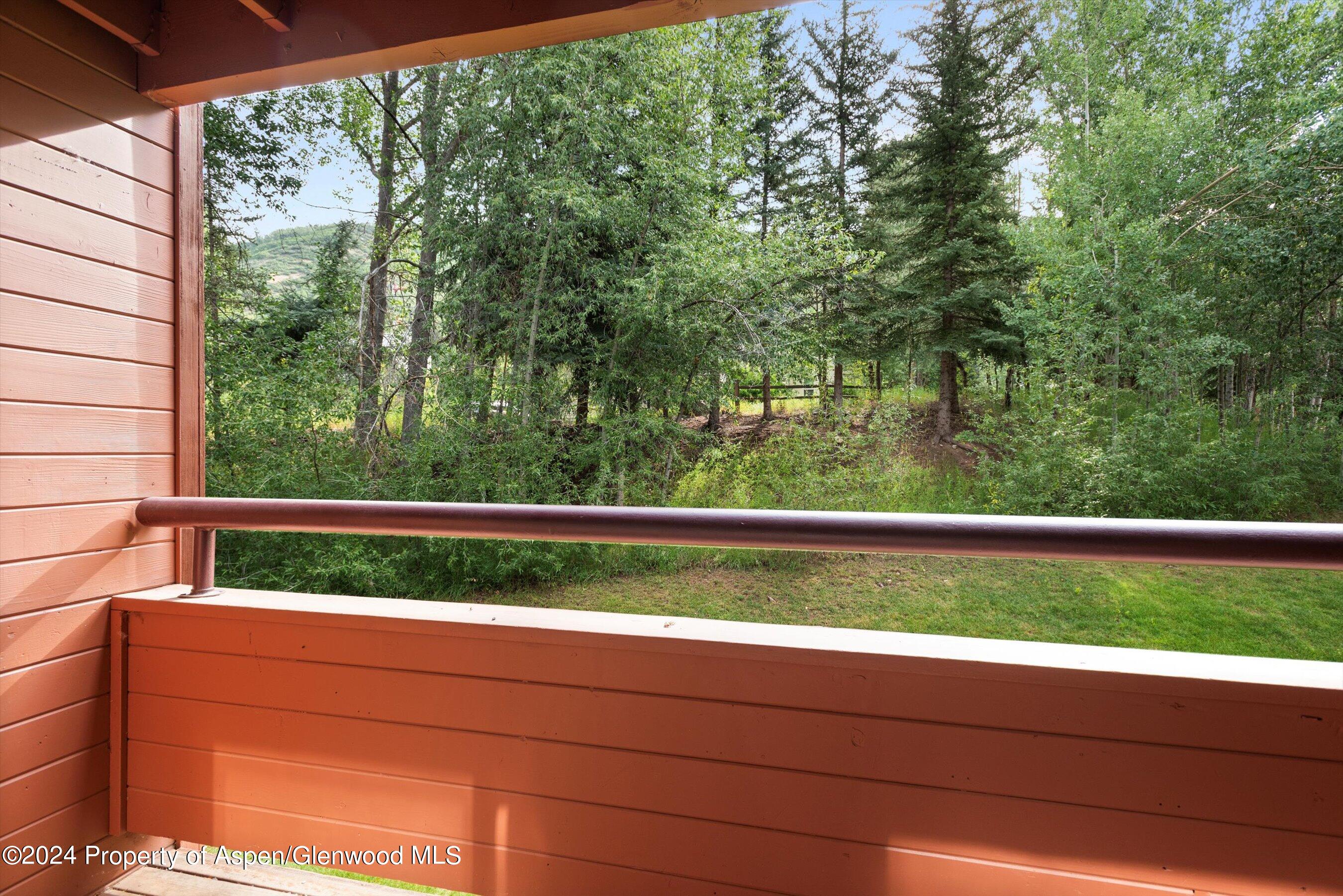 1326 Vine Street, Unit 1326 Aspen, CO 81611 - Photo 3 of 16