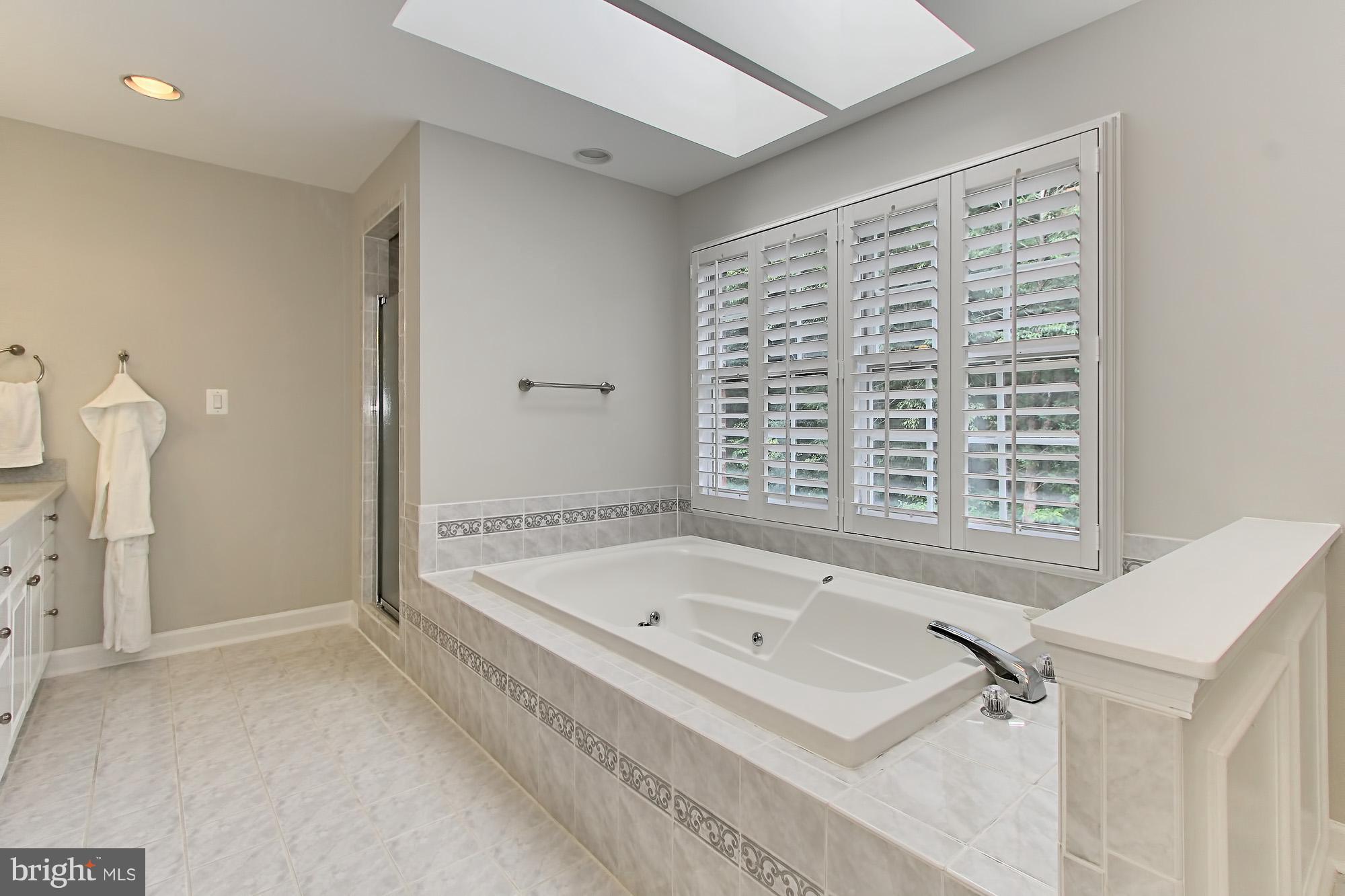 10100 Colvin Run Road Great Falls, VA 22066 - Photo 20 of 30 Bath (Master)