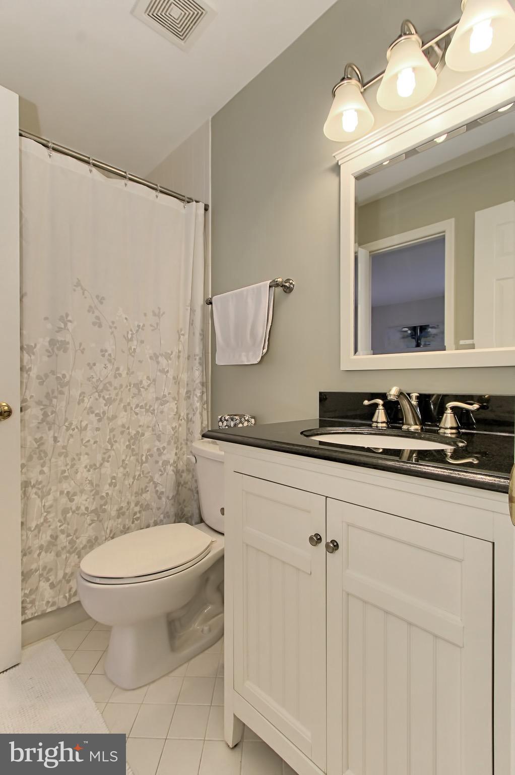 10100 Colvin Run Road Great Falls, VA 22066 - Photo 25 of 30 En Suite and Hall full Bathroom