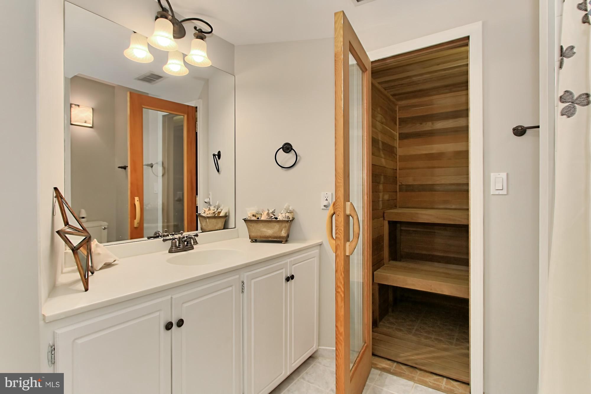10100 Colvin Run Road Great Falls, VA 22066 - Photo 28 of 30 Rec Room Bull Bathroom with Sauna