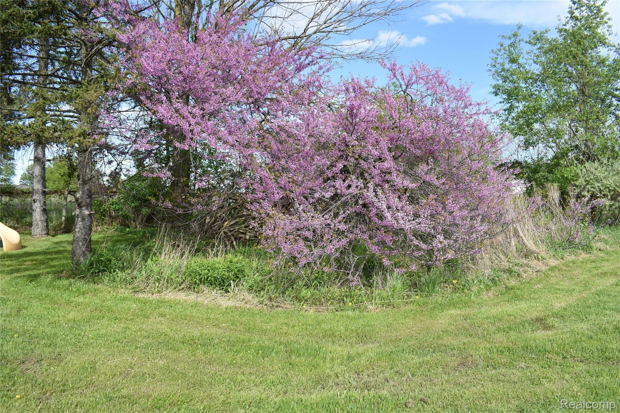 11147 Brimley Road Webberville, MI 48892 - Photo 23 of 28 DSC_0415.JPG