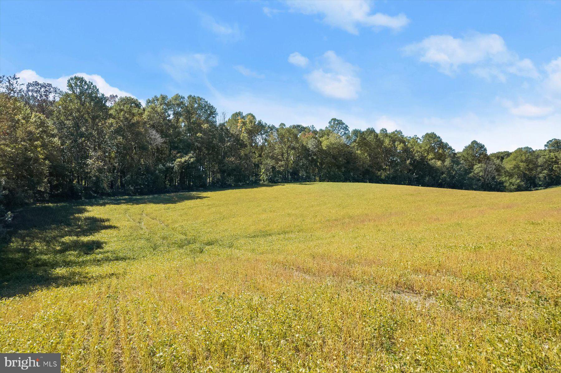 Annapolis Rock Road Woodbine, MD 21797 - Photo 16 of 22 Ground View