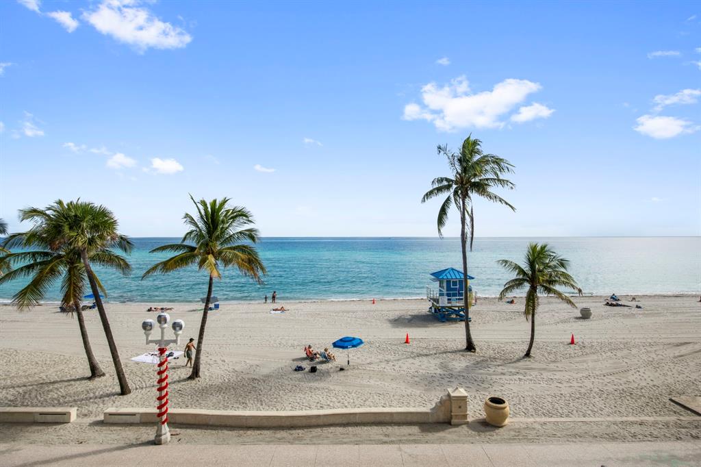 2203 North Surf Road Hollywood, FL 33019 - Photo 58 of 60 a view of a palm tree with yard
