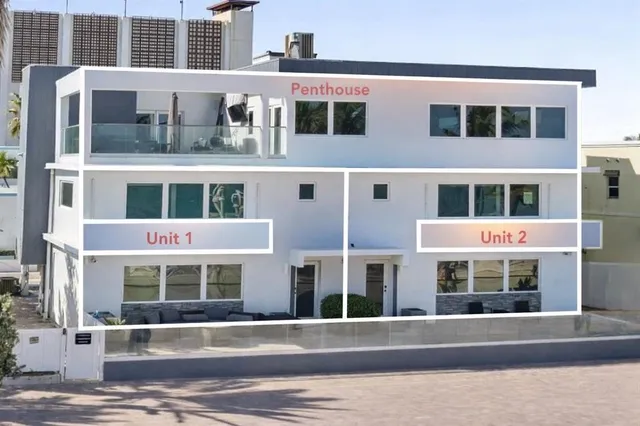 a view of road and palm trees