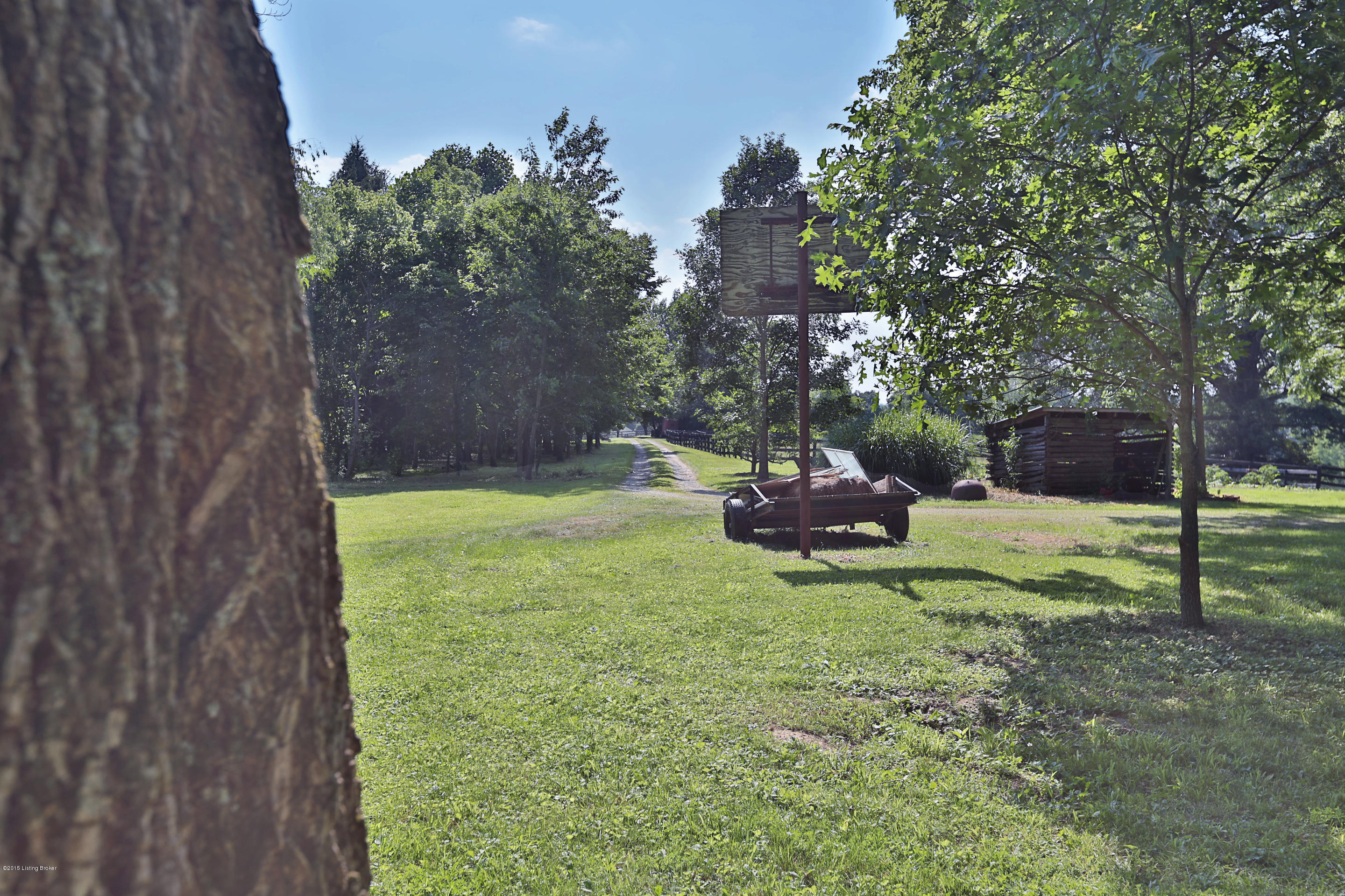 2550 Webb Road Simpsonville, KY 40067 - Photo 52 of 61 Driveway