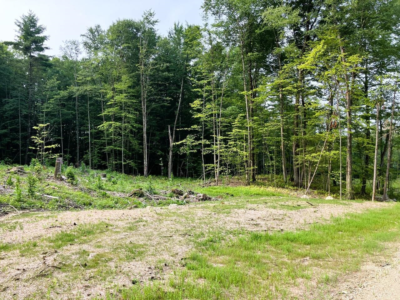 Lot 6 Fern Lake Road Leicester, VT 05733 - Photo 25 of 25
