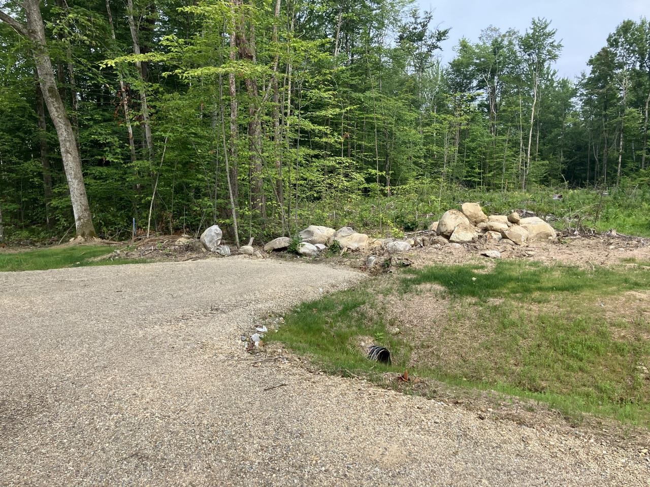 Lot 6 Fern Lake Road Leicester, VT 05733 - Photo 3 of 25