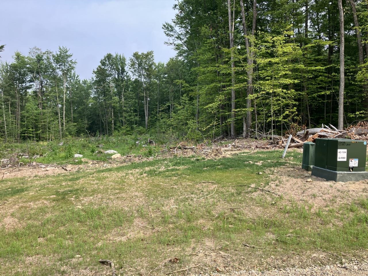 Lot 6 Fern Lake Road Leicester, VT 05733 - Photo 4 of 25