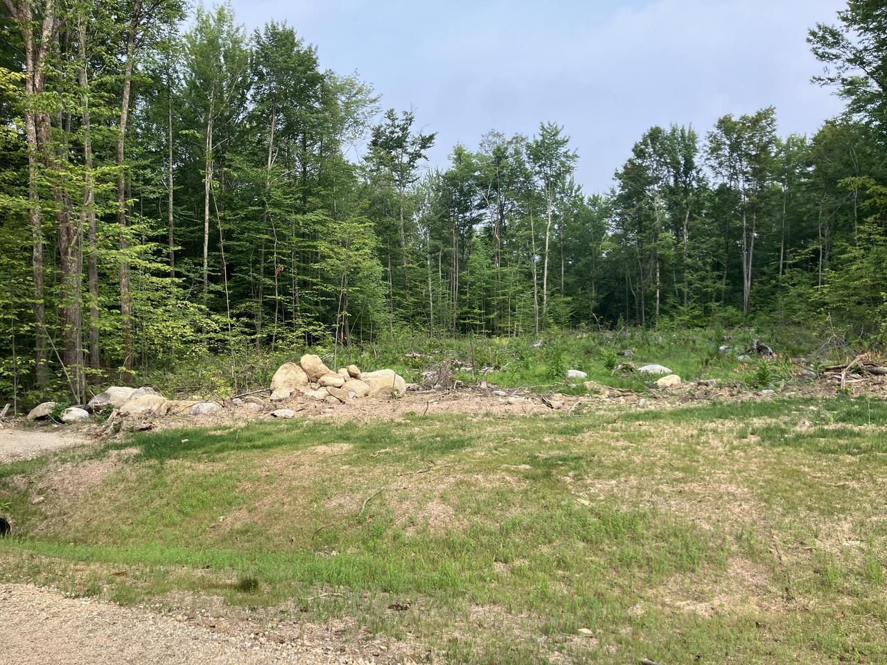 Lot 6 Fern Lake Road Leicester, VT 05733 - Photo 6 of 25