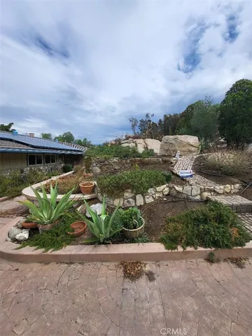 a view of a lake with a lot of plants and trees