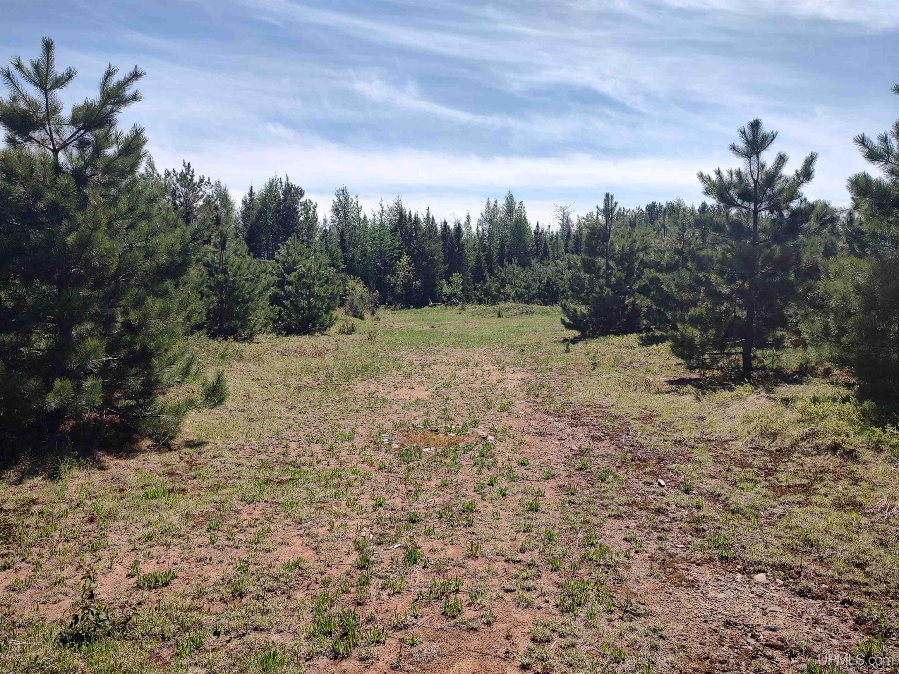 58-acres Co Rd Fn Road Champion, MI 49814 - Photo 1 of 27