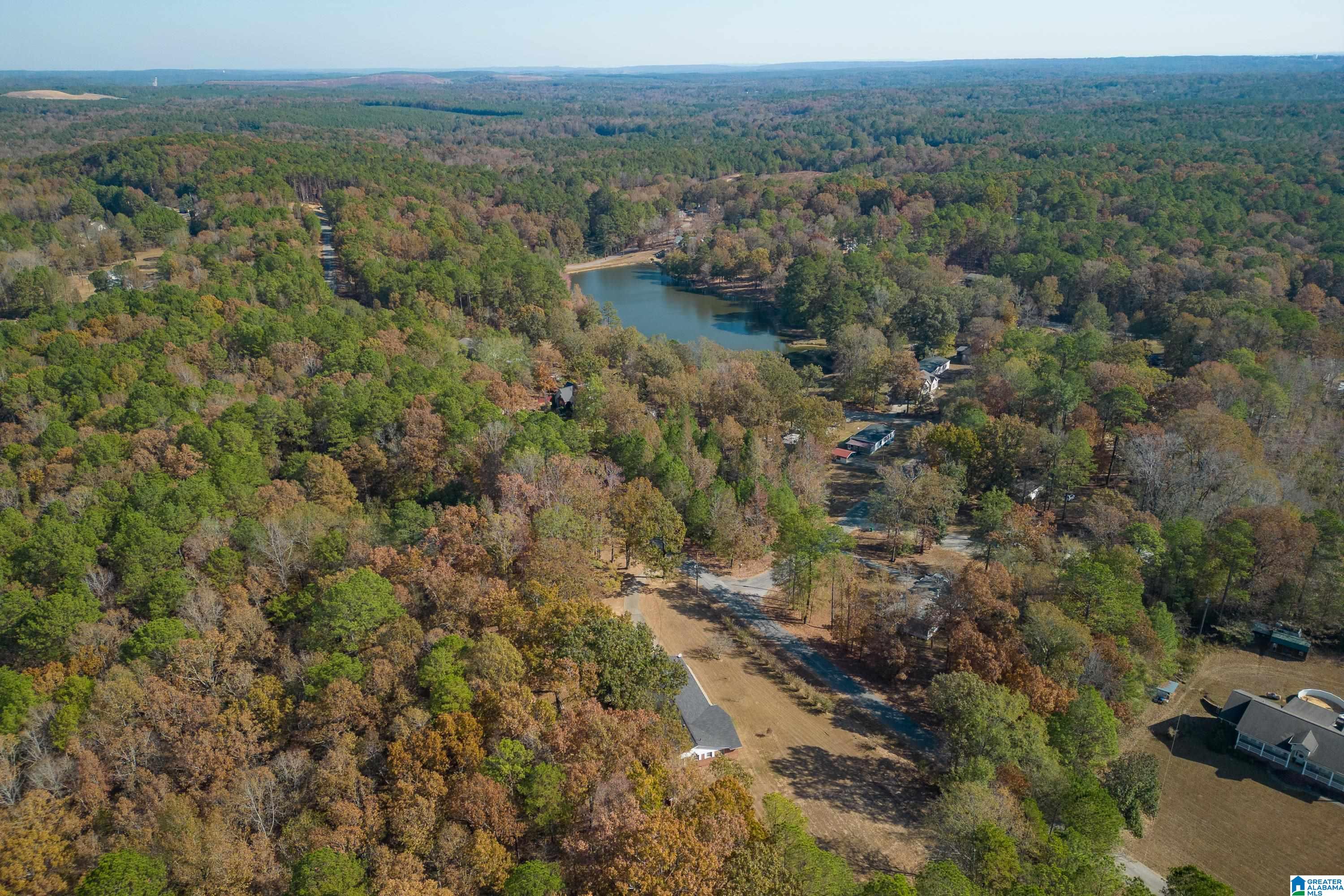 13026 Hobby Horse Road Vance, AL 35490 - Photo 44 of 48