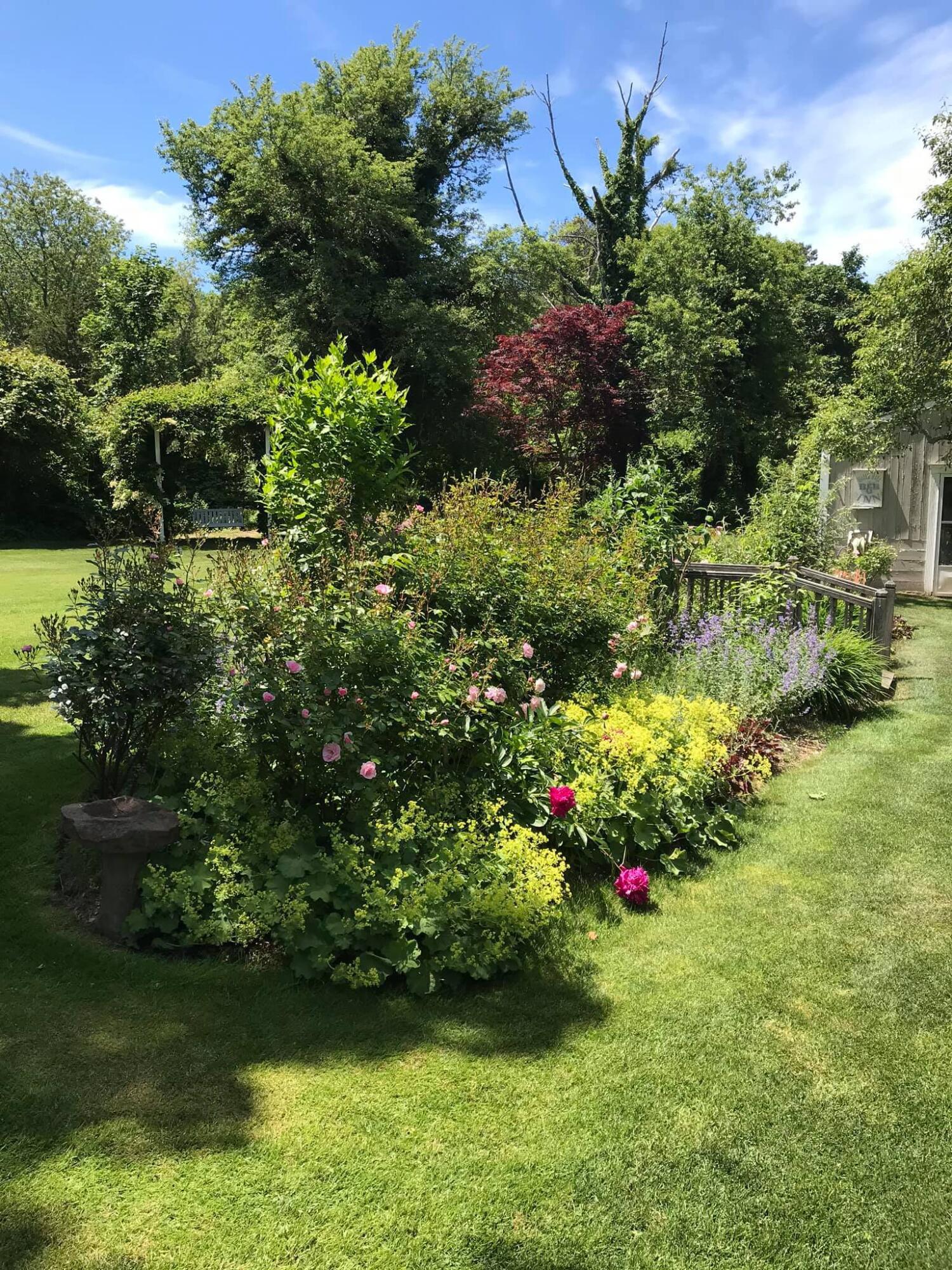 152 Whig Street Dennis, MA 02638 - Photo 32 of 35 a view of a garden with a flower garden