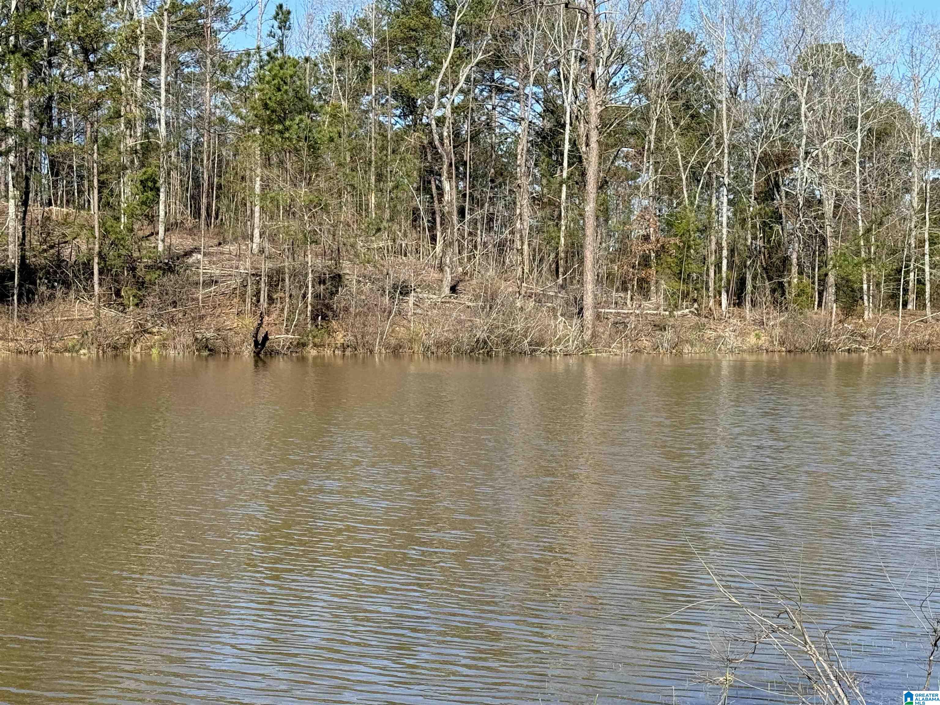 1080 County Road 46, Unit 1 Montevallo, AL 35115 - Photo 6 of 13