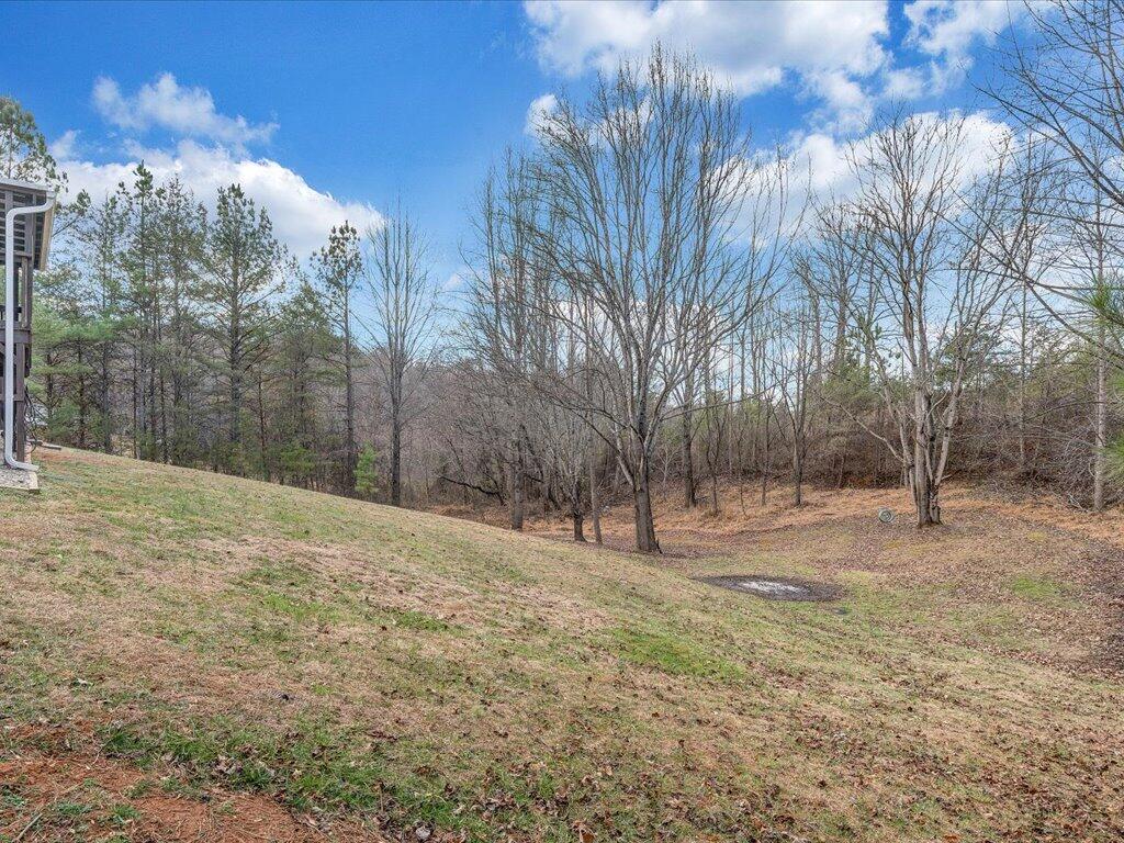 3559 County Line Road Patrick Springs, VA 24133 - Photo 31 of 44 31-MIB08834