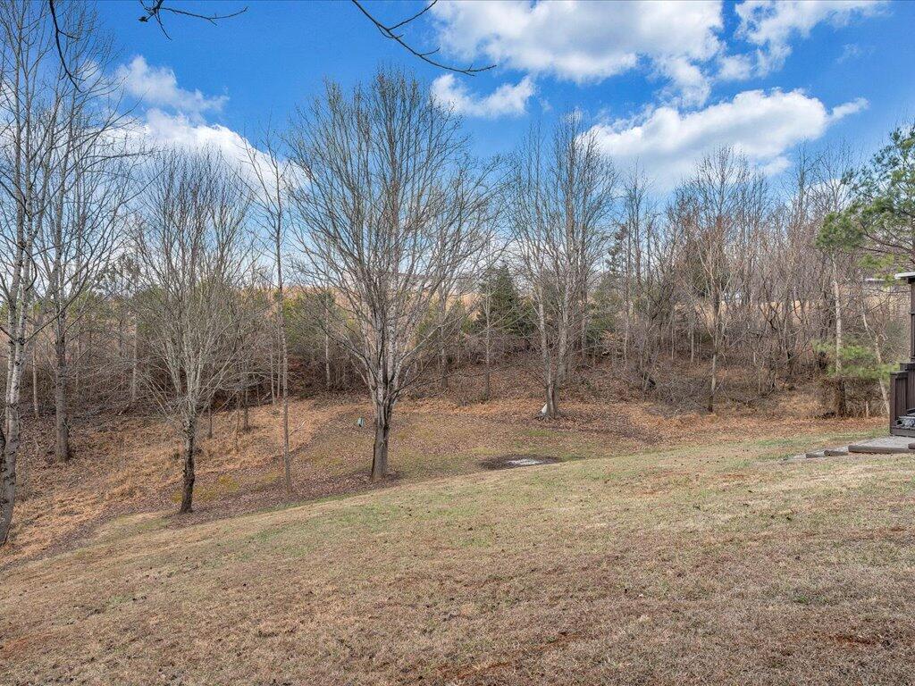 3559 County Line Road Patrick Springs, VA 24133 - Photo 35 of 44 35-MIB08822
