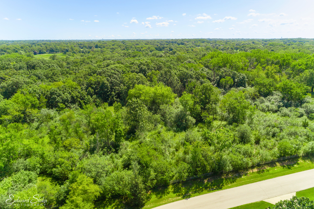 0 Steeplechase Road Chicago, IL 60639 - Photo 14 of 21