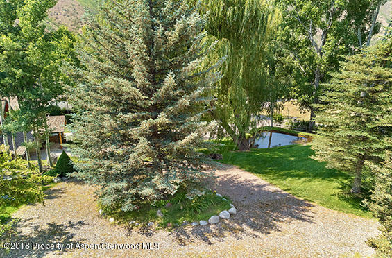 88 Holland Hills Road Basalt, CO 81621 - Photo 11 of 52 a view of a yard with plants and trees