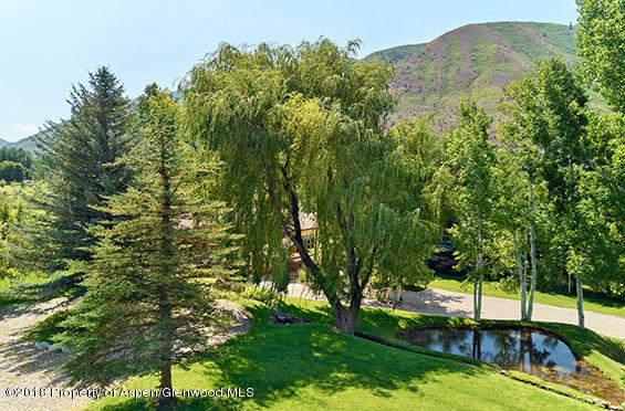 88 Holland Hills Road Basalt, CO 81621 - Photo 10 of 52 a view of a yard with a tree