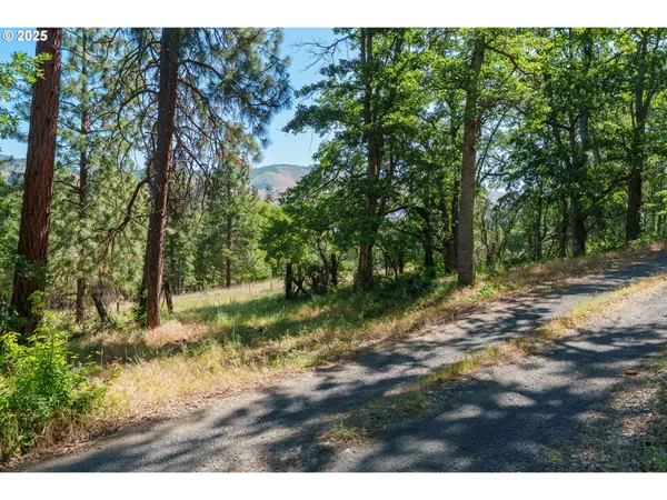 a view of backyard with green space