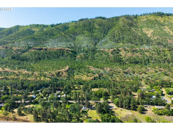 a view of a city and a lush green forest