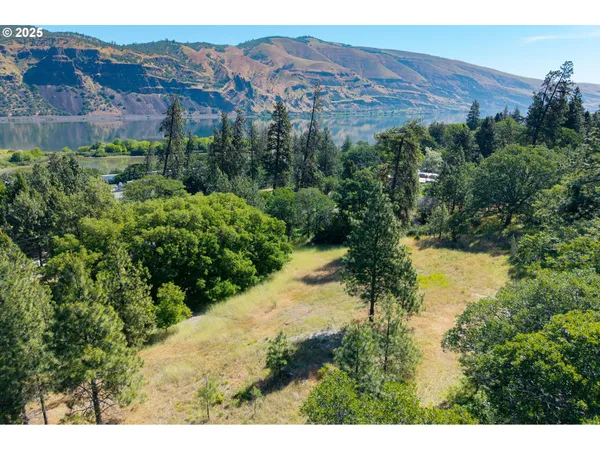 a view of a city with mountains in the background