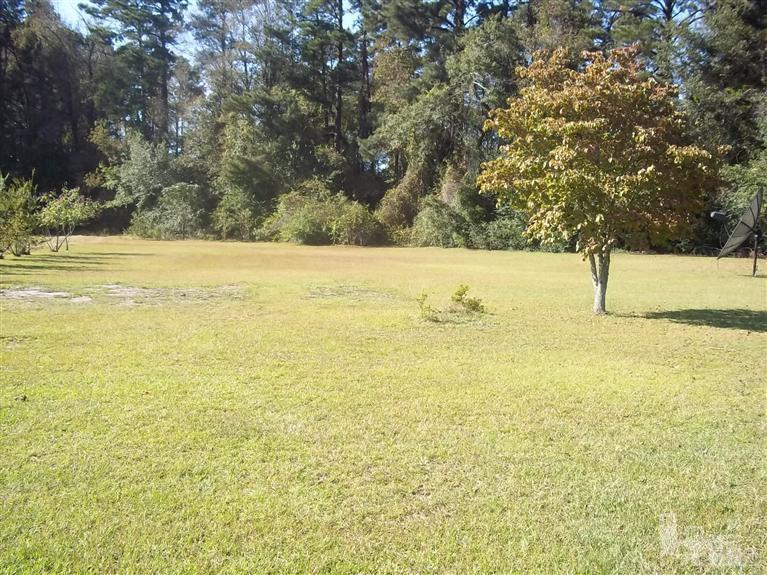 3798 Butler Island Bridge Road Roseboro, NC 28382 - Photo 3 of 15 Additional Photo