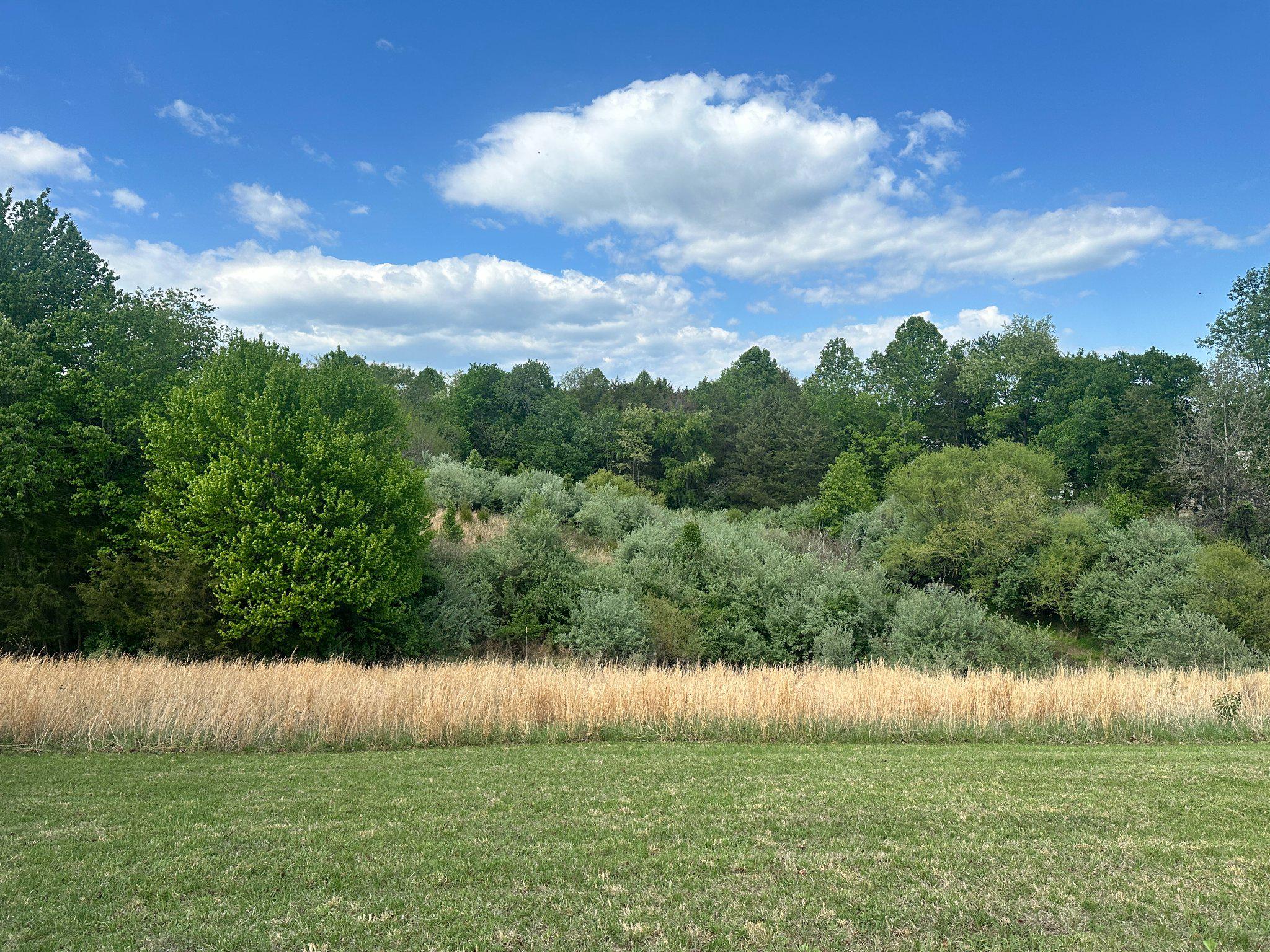 16390 Wayland Road Culpeper, VA 22701 - Photo 14 of 18 Property goes back well into those trees