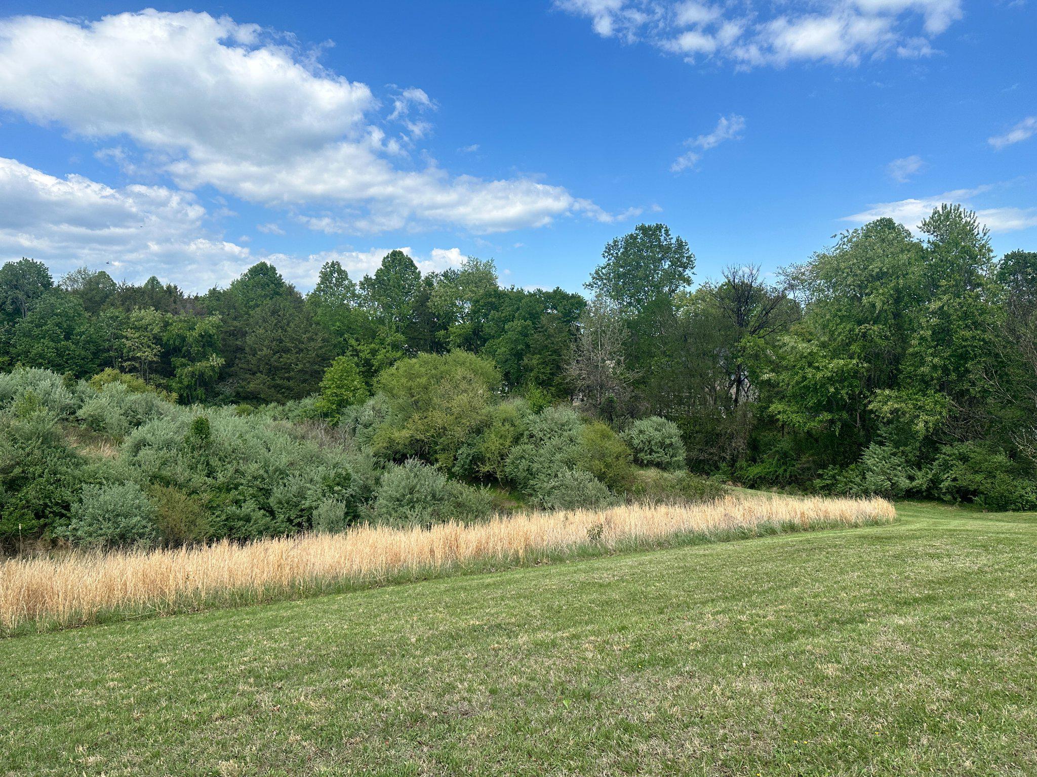 16390 Wayland Road Culpeper, VA 22701 - Photo 15 of 18 Peace and quiet abound.