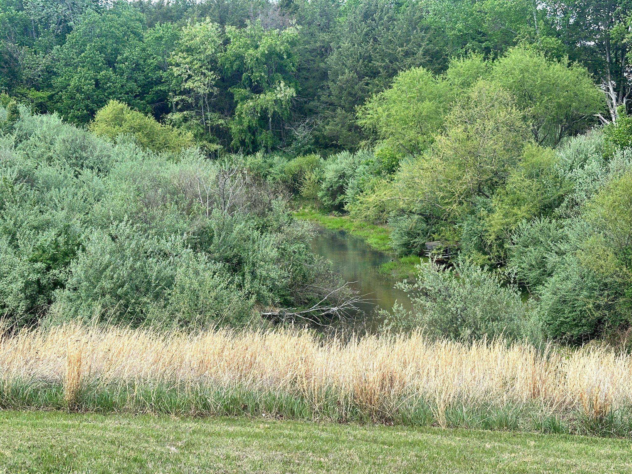 16390 Wayland Road Culpeper, VA 22701 - Photo 16 of 18 There's even a pond on the property