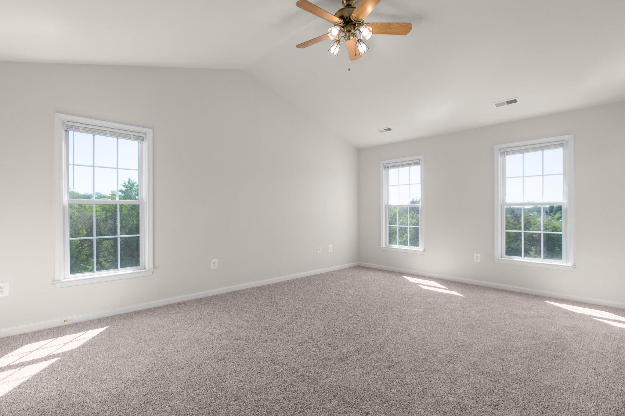 16390 Wayland Road Culpeper, VA 22701 - Photo 36 of 92 Primary bedroom with cathedral ceiling