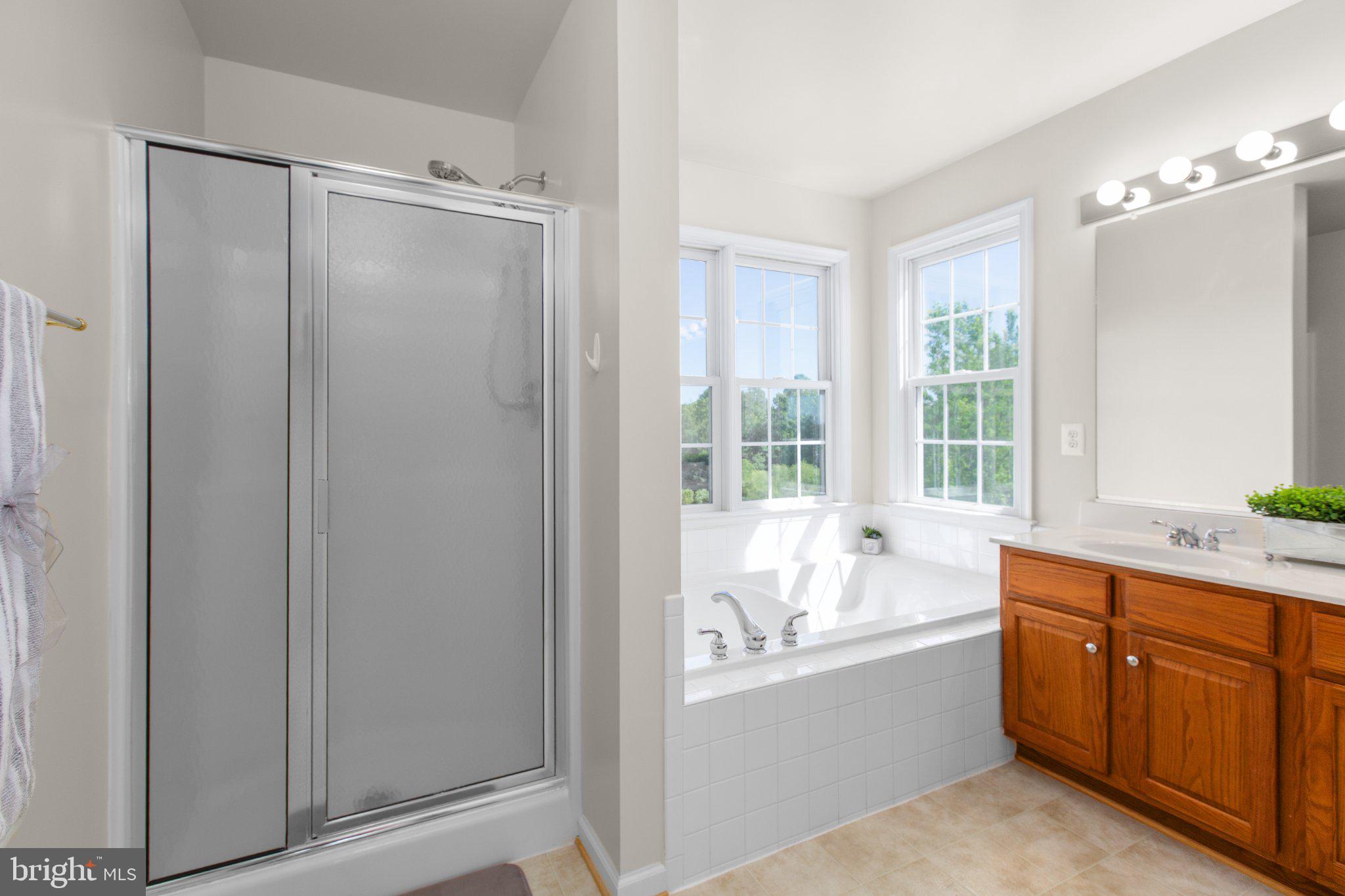 16390 Wayland Road Culpeper, VA 22701 - Photo 43 of 92 Bright and airy bathroom retreat.