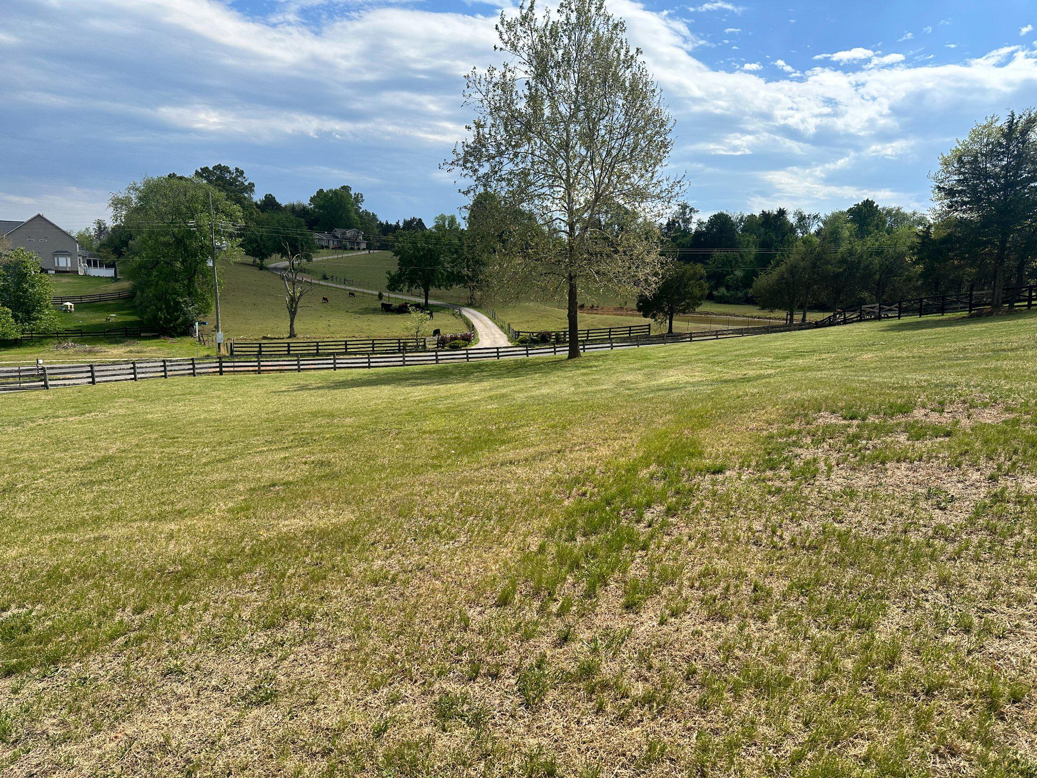 16390 Wayland Road Culpeper, VA 22701 - Photo 5 of 18 Look at your view!