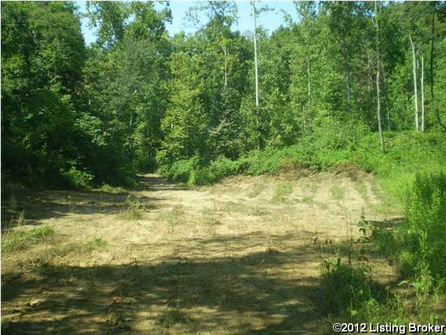 0 Boiling Springs Road Munfordville, KY 42765 - Photo 9 of 13 Additional Photo