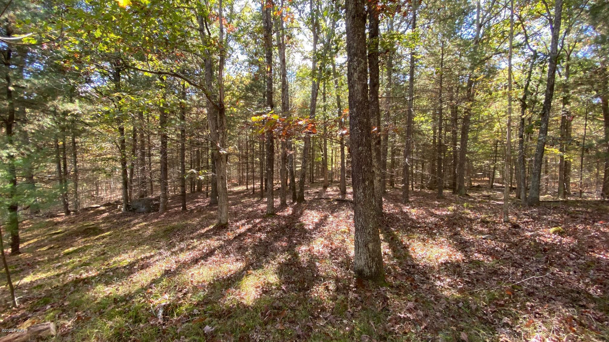 10 Deer Hollow Road Greentown, PA 18426 - Photo 2 of 8