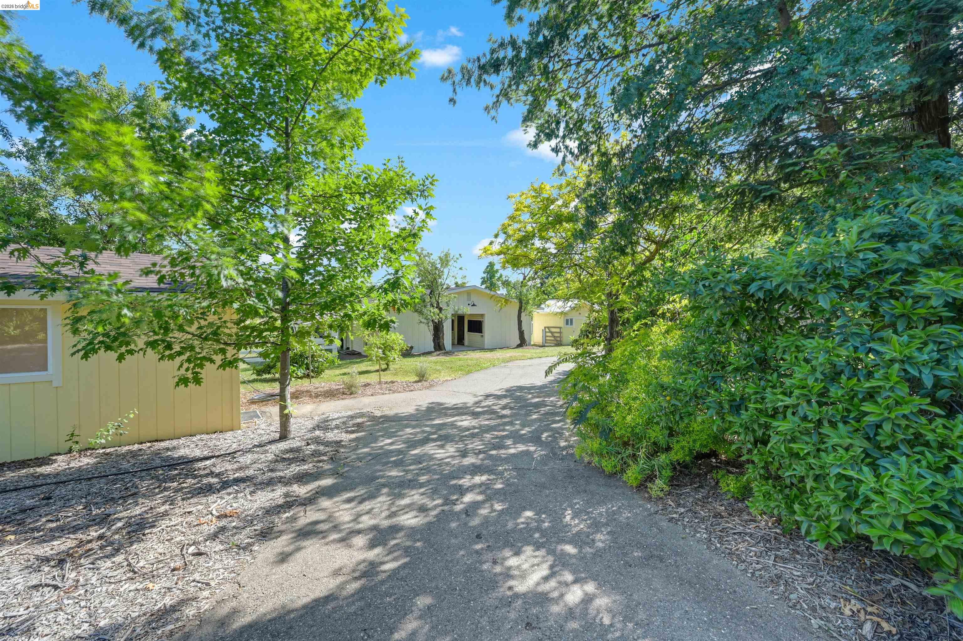 10474 Sheldon Road Elk Grove, CA 95624 - Photo 78 of 83 Paved pathway bordered by mature trees and lush greenery, with light-colored siding structures in the background