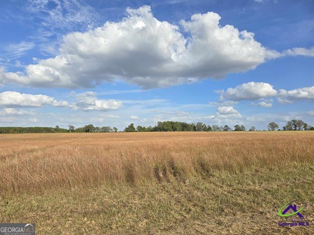 17 Hay Field Road Cochran, GA 31014 - Photo 1 of 1 a view of an ocean