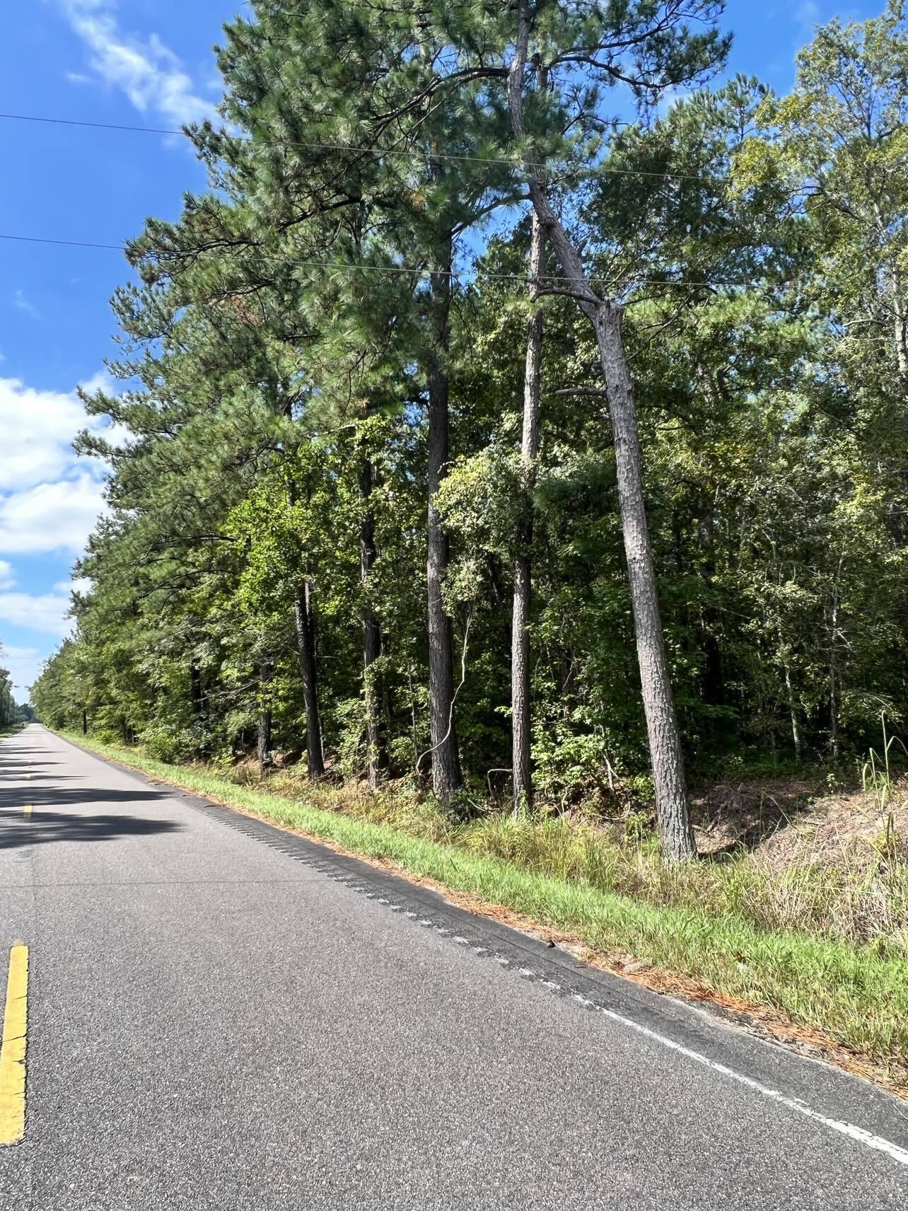 1568 Mendel Rivers Road St. Stephen, SC 29479 - Photo 1 of 4 MRivers