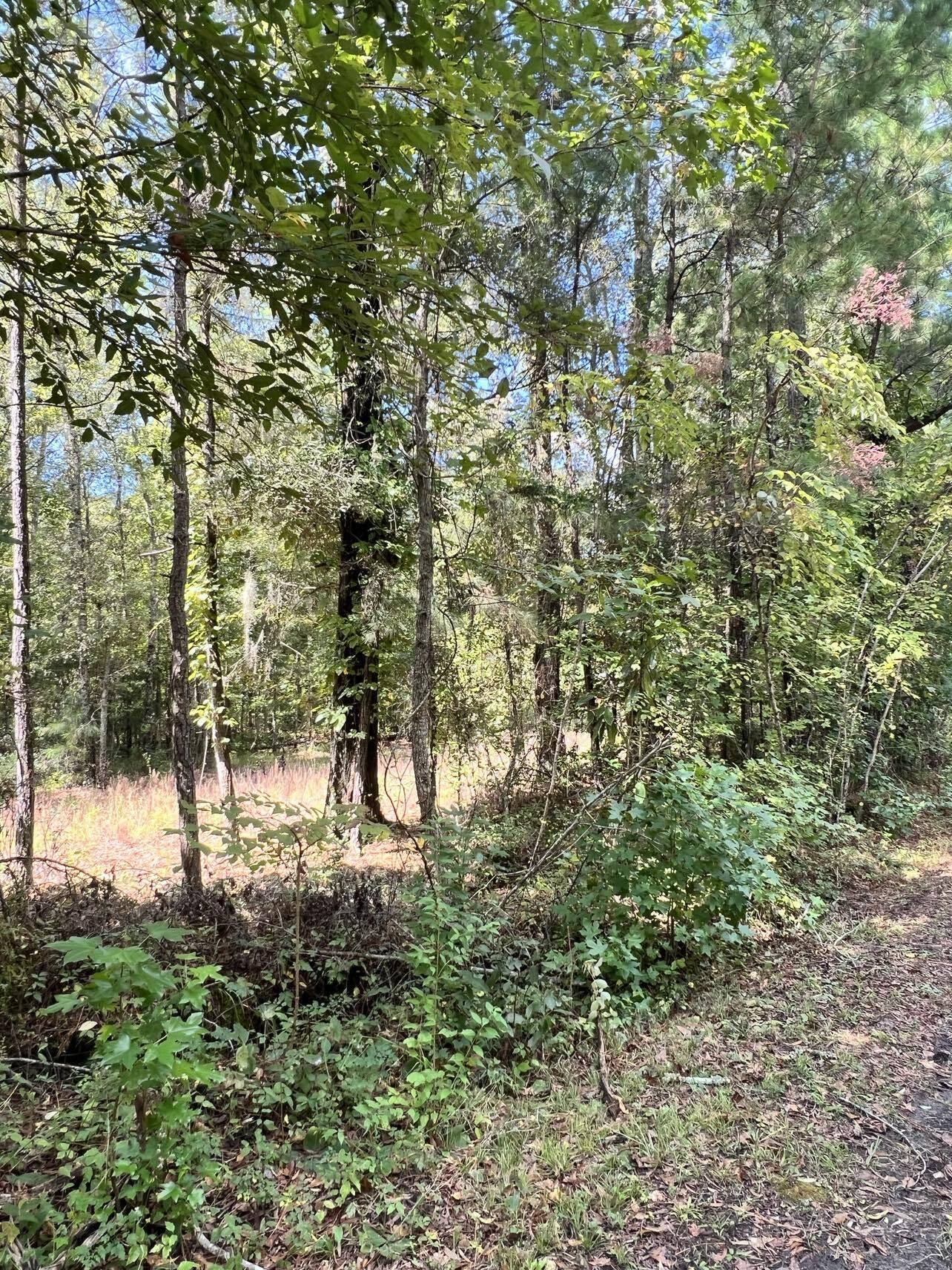 1568 Mendel Rivers Road St. Stephen, SC 29479 - Photo 2 of 4 371791318_684430243580067_50938247695334