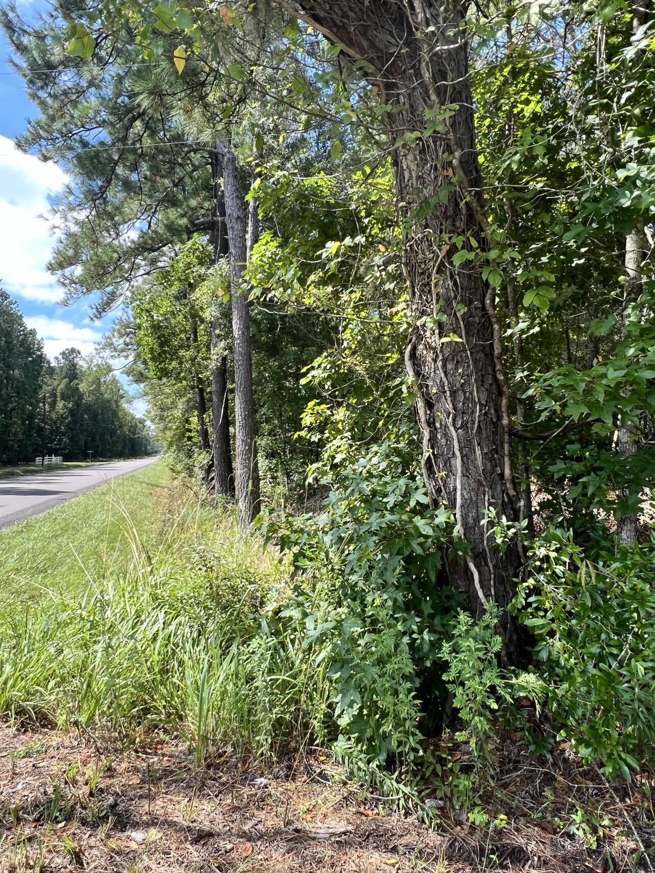 1568 Mendel Rivers Road St. Stephen, SC 29479 - Photo 3 of 4 371857241_3485347321779352_6433822428241