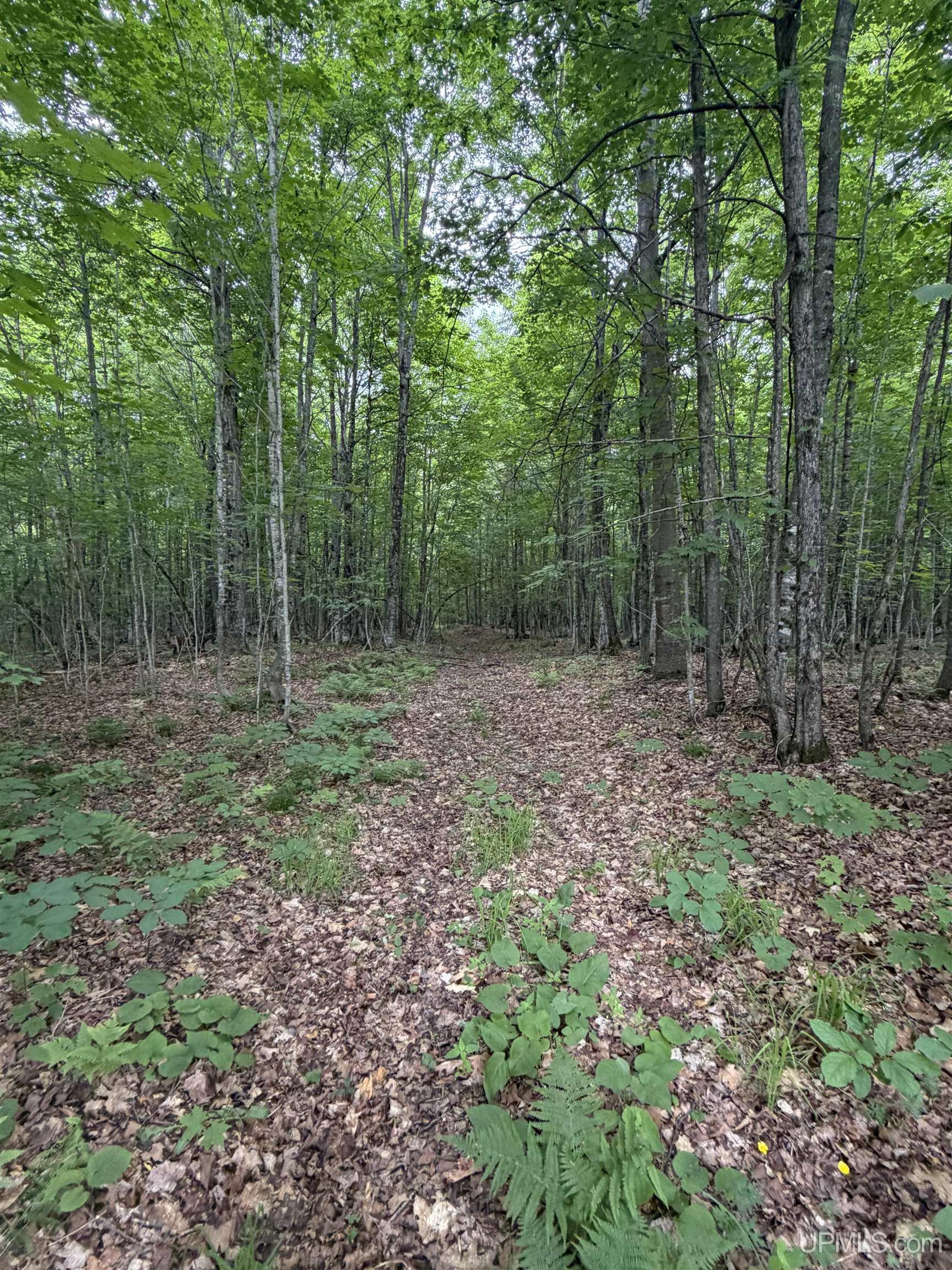 Tbd25.8 Skanee Road Skanee, MI 49962 - Photo 11 of 20